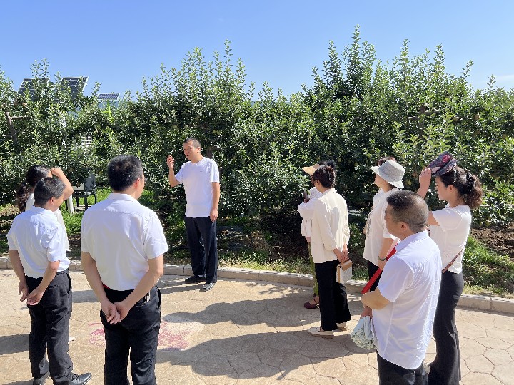 图片3.jpg 图片3.jpg